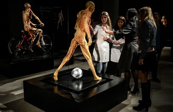 Выставка "Тайны тела. Вселенная внутри" в Москве