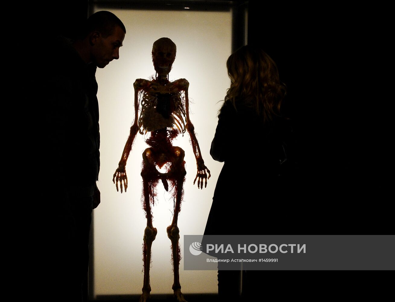 Выставка "Тайны тела. Вселенная внутри" в Москве