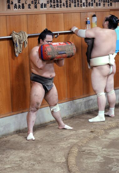 Тренировка борцов спортивной корпорации японского сумо