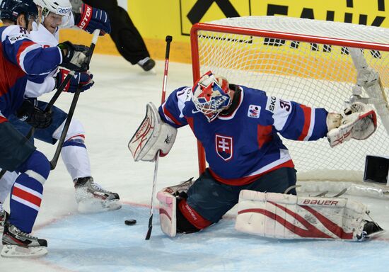 Хоккей. Чемпионат мира. Матч Франция - Словакия