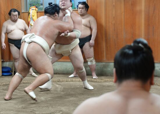 Тренировка борцов спортивной корпорации японского сумо