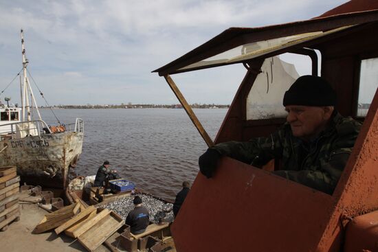 Лов корюшки на реке Волхов в Ленинградской области