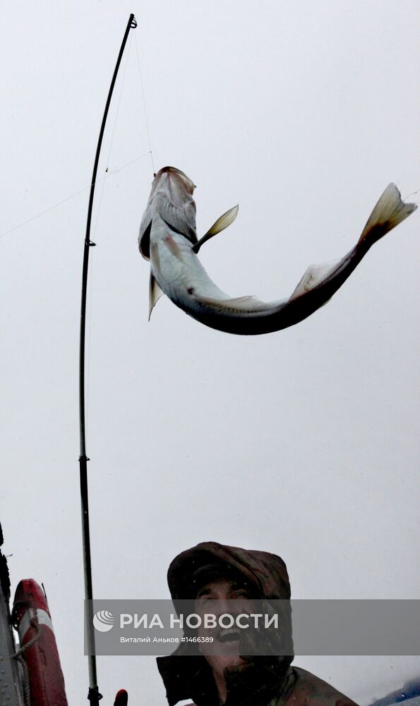 Любительская рыбалка в Уссурийском заливе