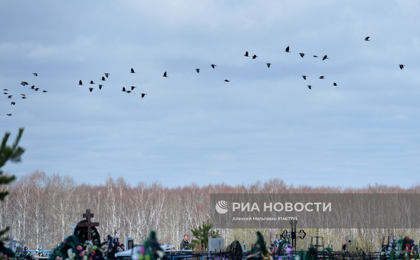 Посещение кладбищ в день Радоницы