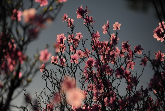 Весна в Забайкалье