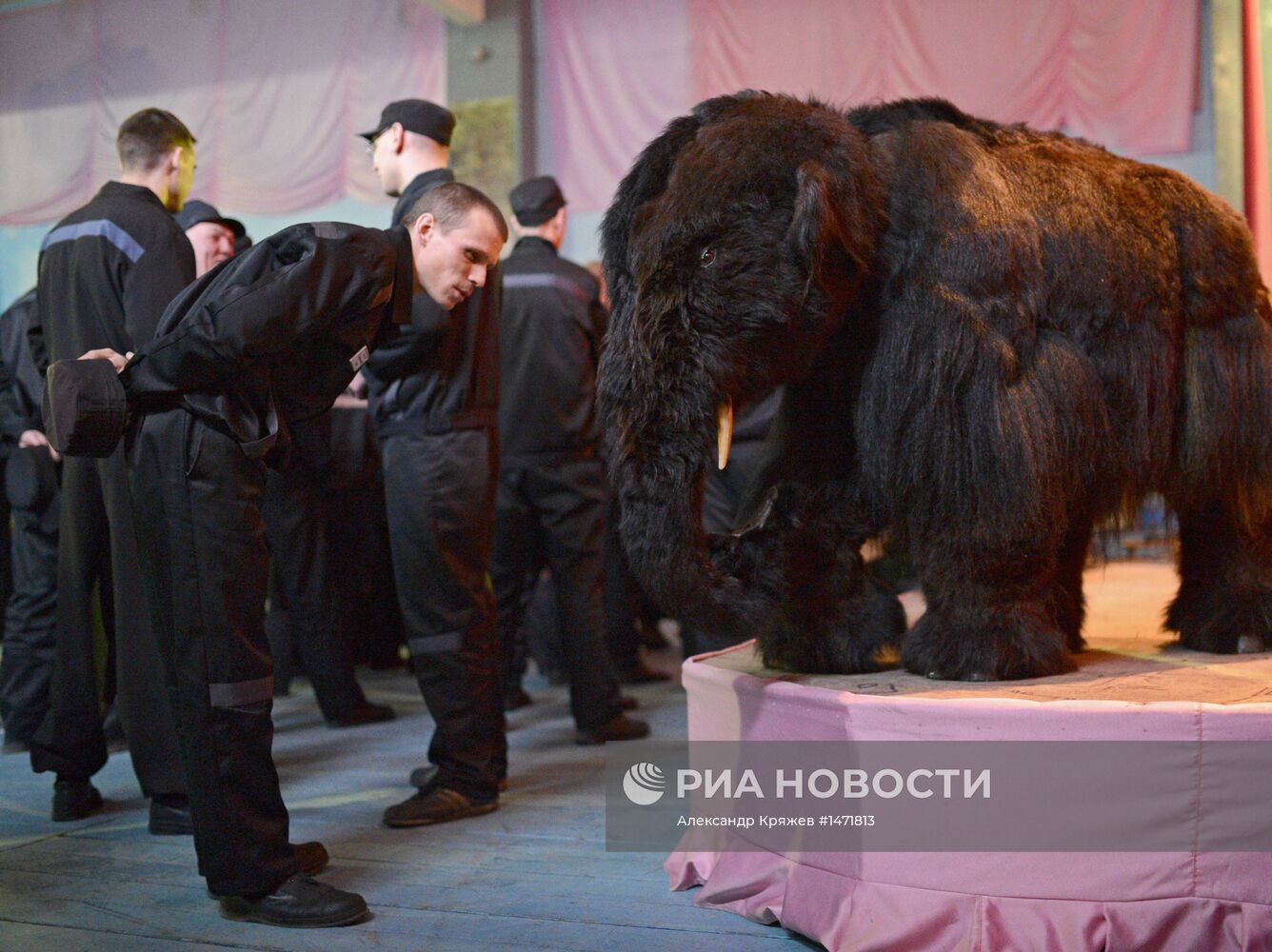 Акция "Ночь в музее" в Новосибирске