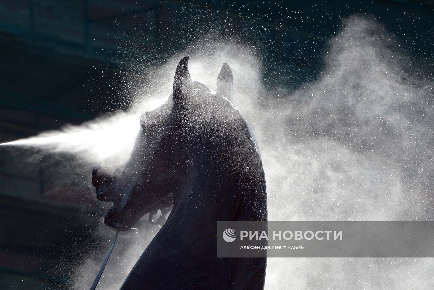 Купание коней Клодта на Аничковом мосту в Санкт-Петербурге