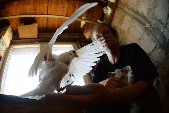 Голубятня в Великом Новгороде