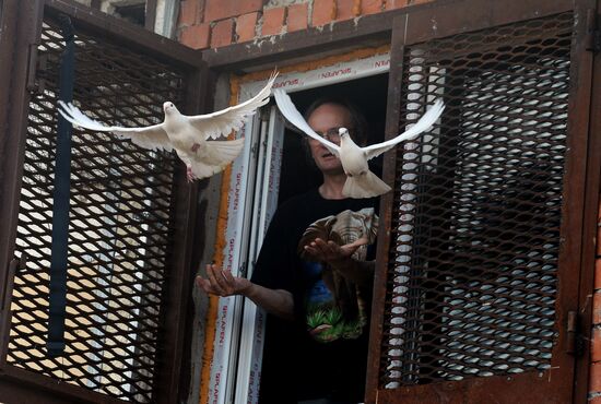 Голубятня в Великом Новгороде