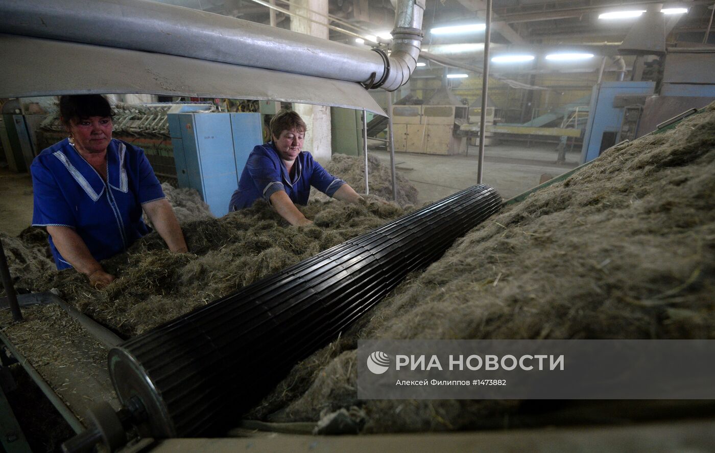 Производство льна в Костромской области