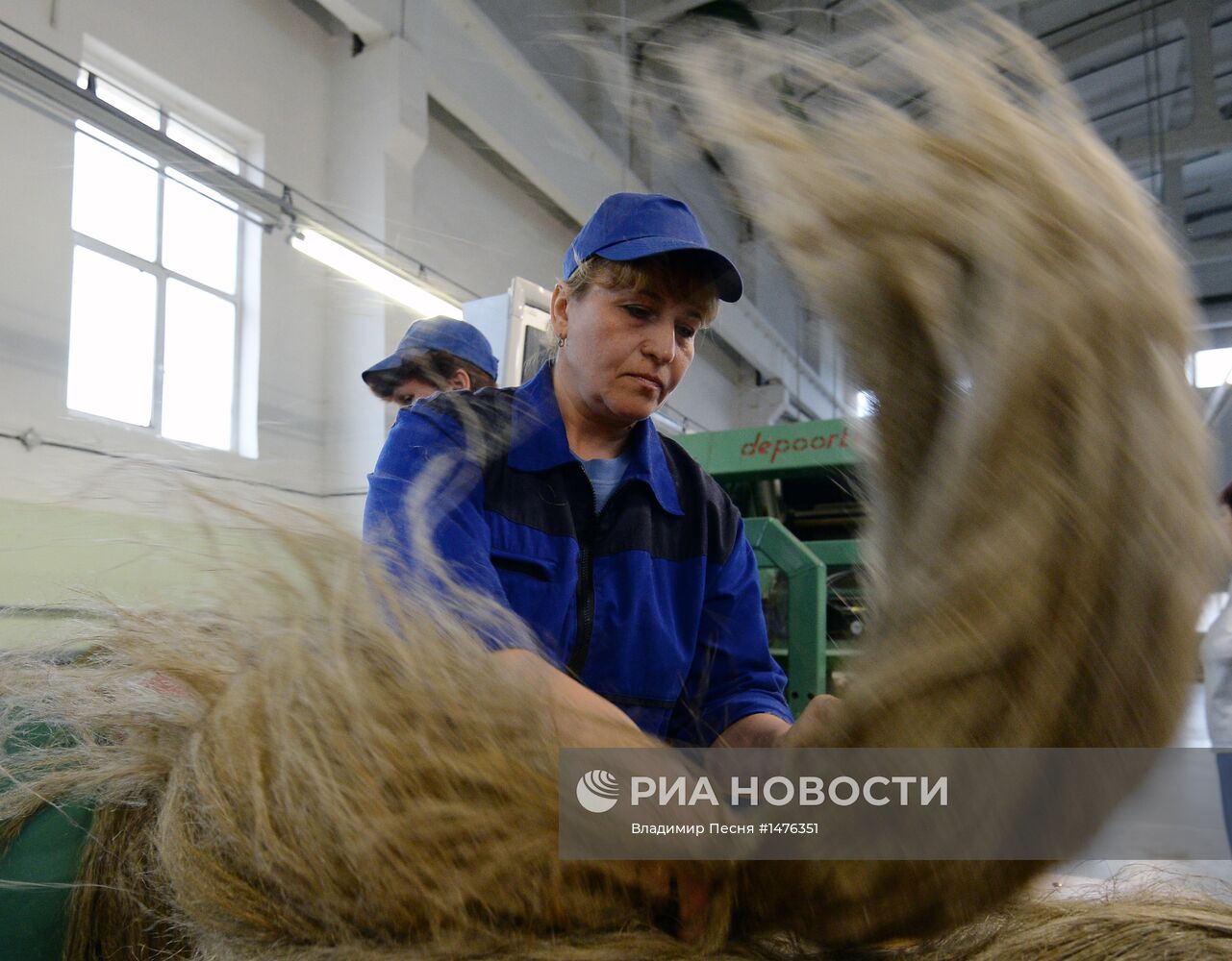 Производство льна в республике Беларусь