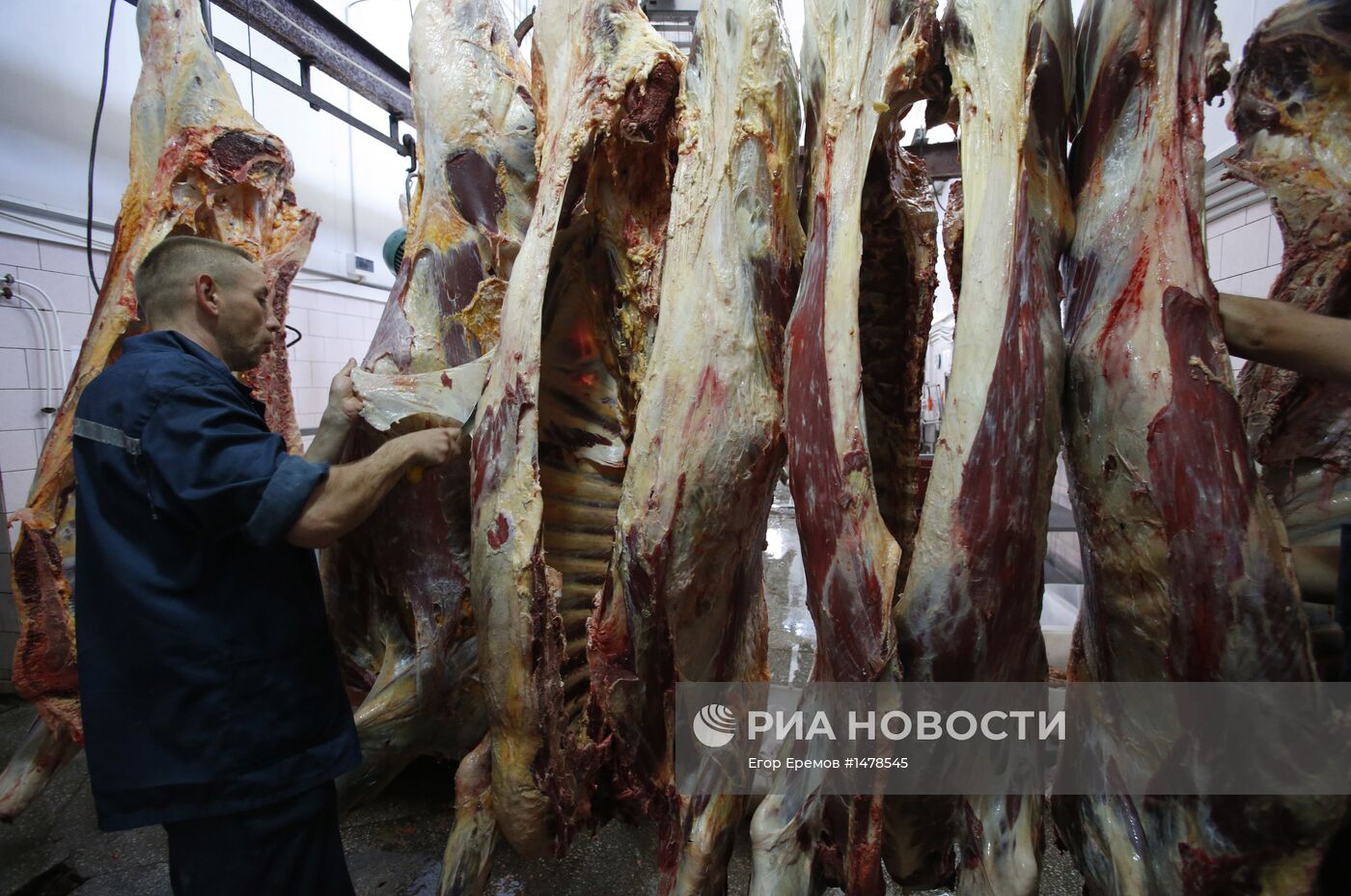 Работа скотоубойного цеха в Белоруссии