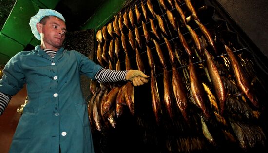 Производство копченой рыбы в Приморском крае