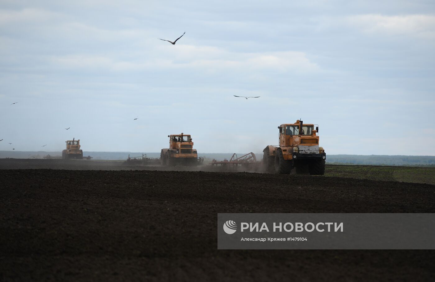 Весенне-полевые работы в Новосибирской области