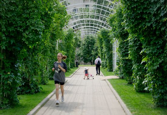 Сад имени Баумана в Центральном округе Москвы
