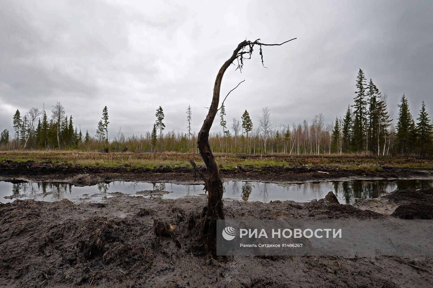 Разливы нефти на Мамонтовском месторождении в ХМАО