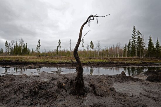 Разливы нефти на Мамонтовском месторождении в ХМАО