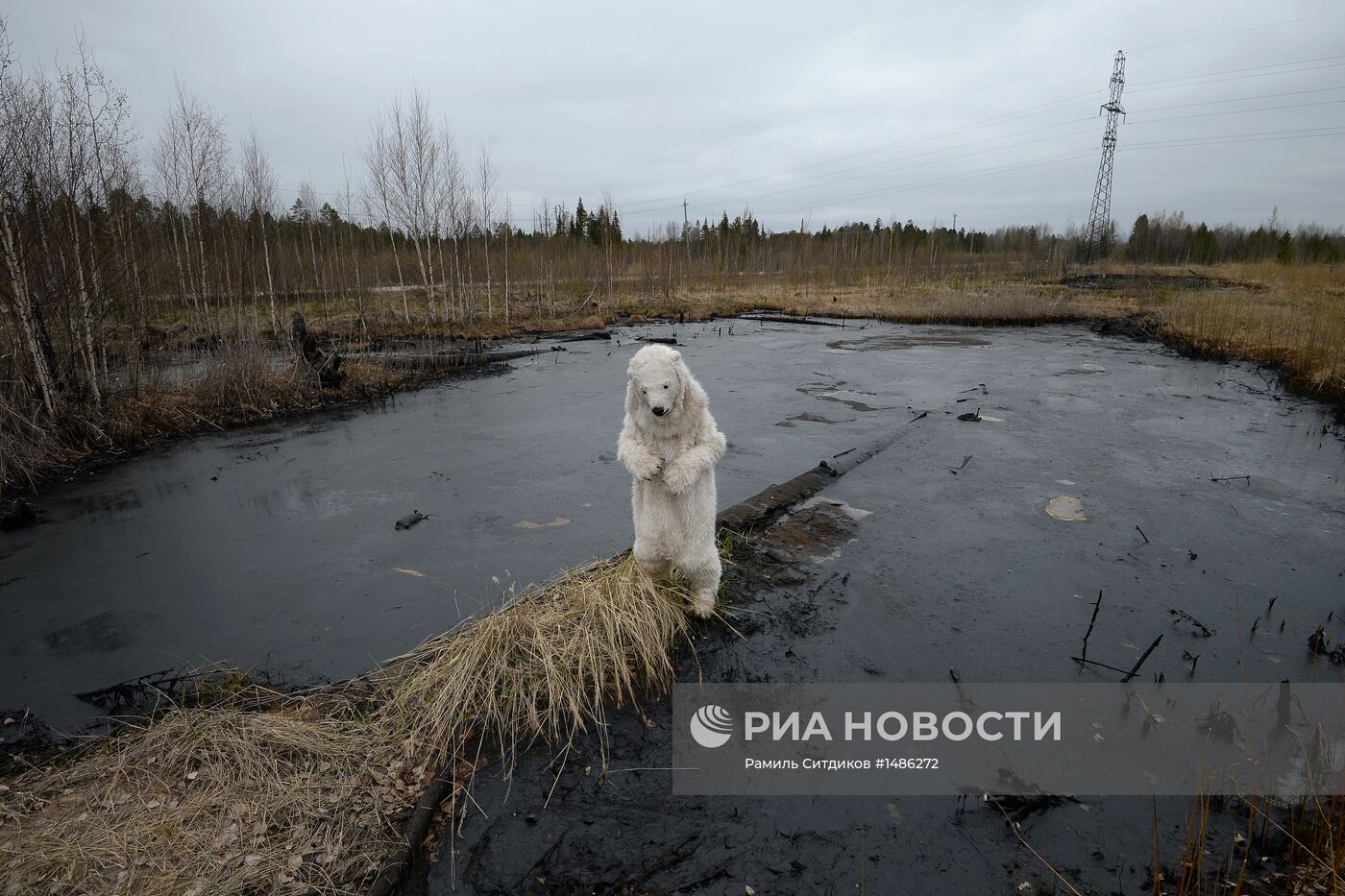 Разливы нефти на Мамонтовском месторождении в ХМАО