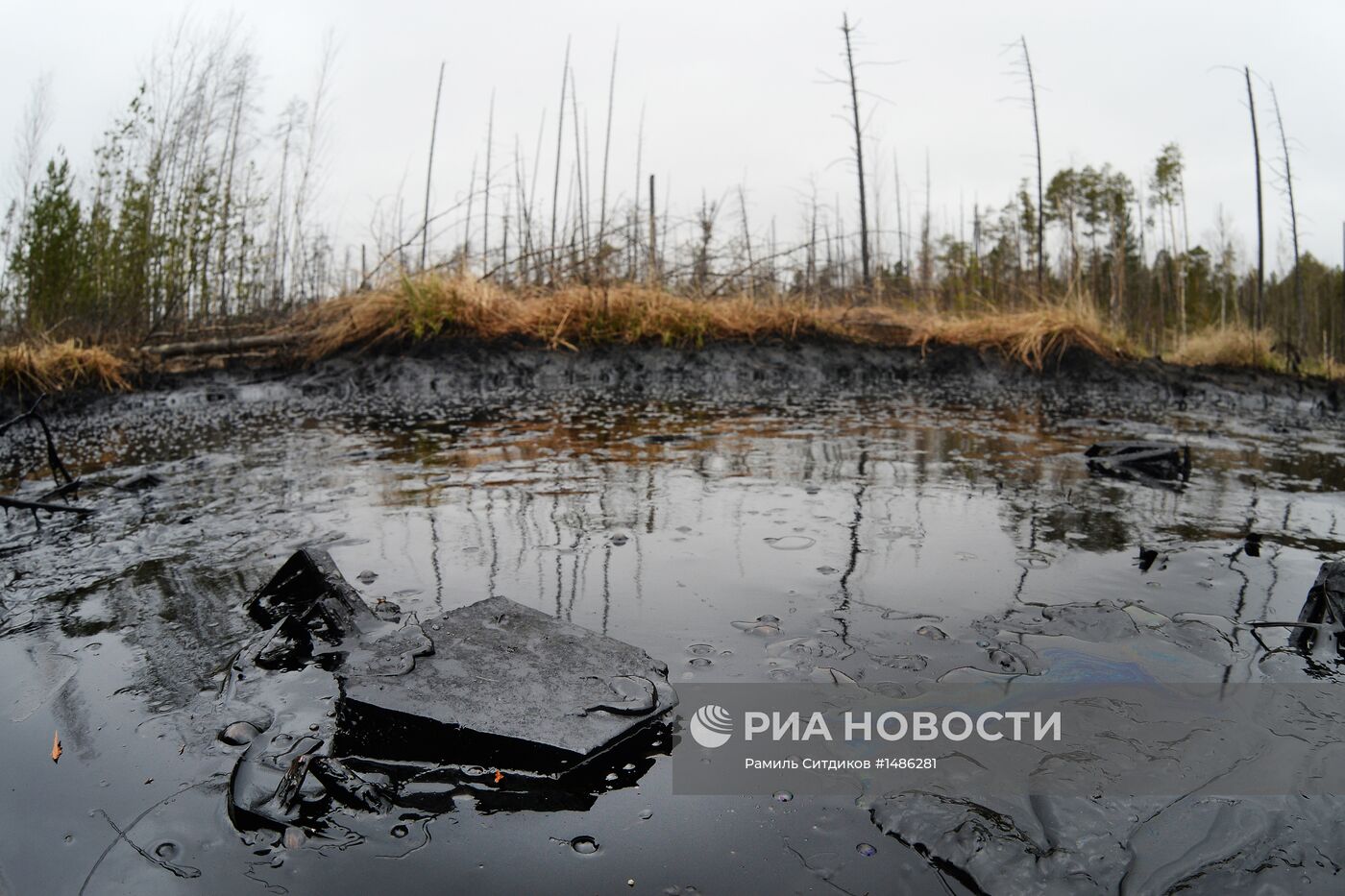 Разливы нефти на Мамонтовском месторождении в ХМАО