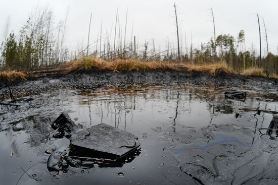 Разливы нефти на Мамонтовском месторождении в ХМАО