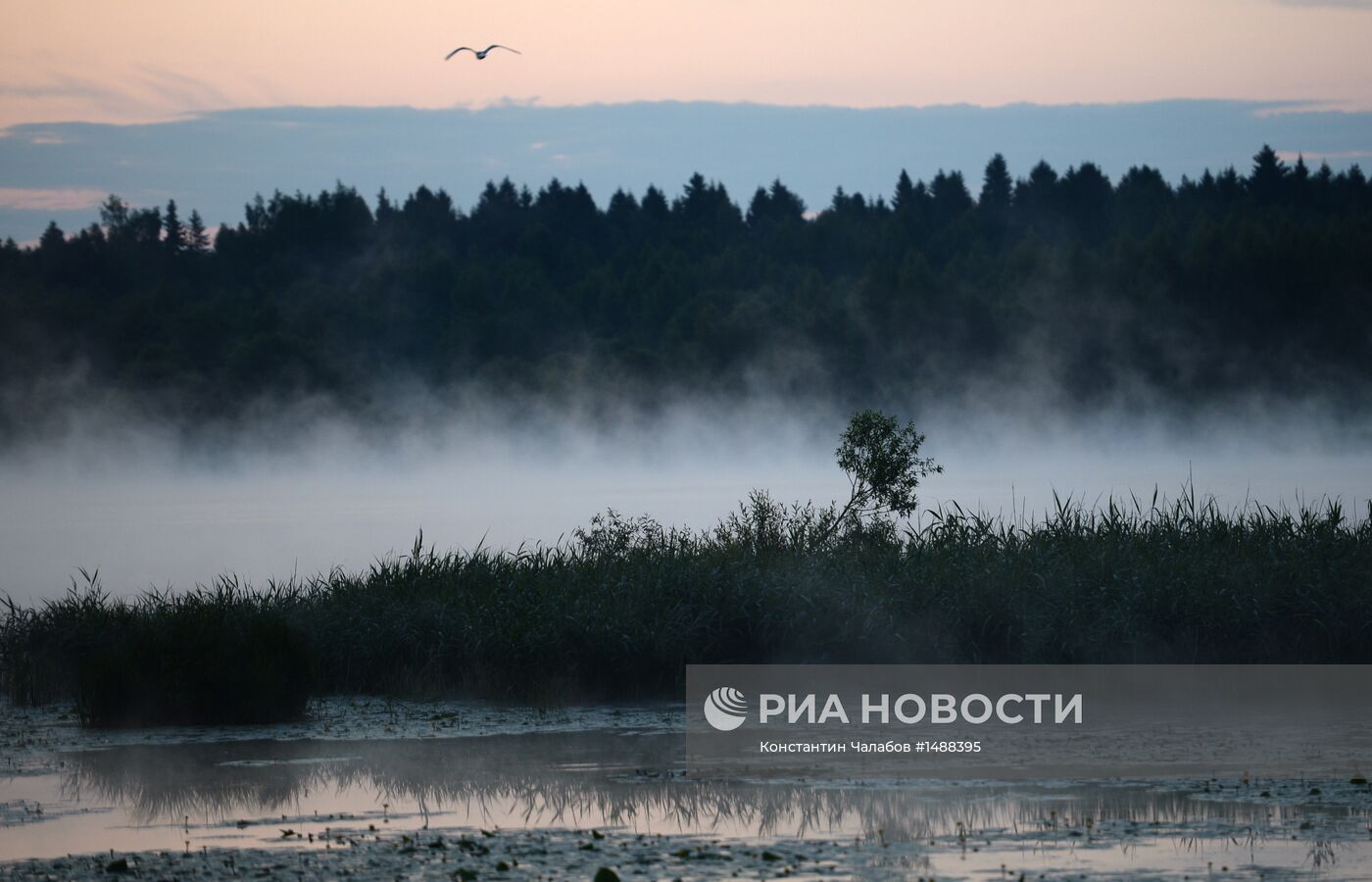 Регионы России. Тверская область