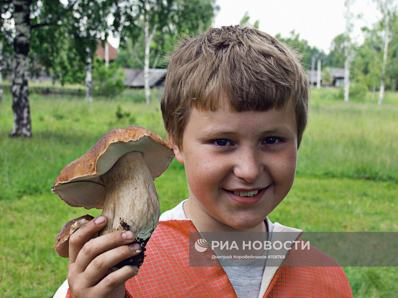 МАЛЬЧИК ГРИБ