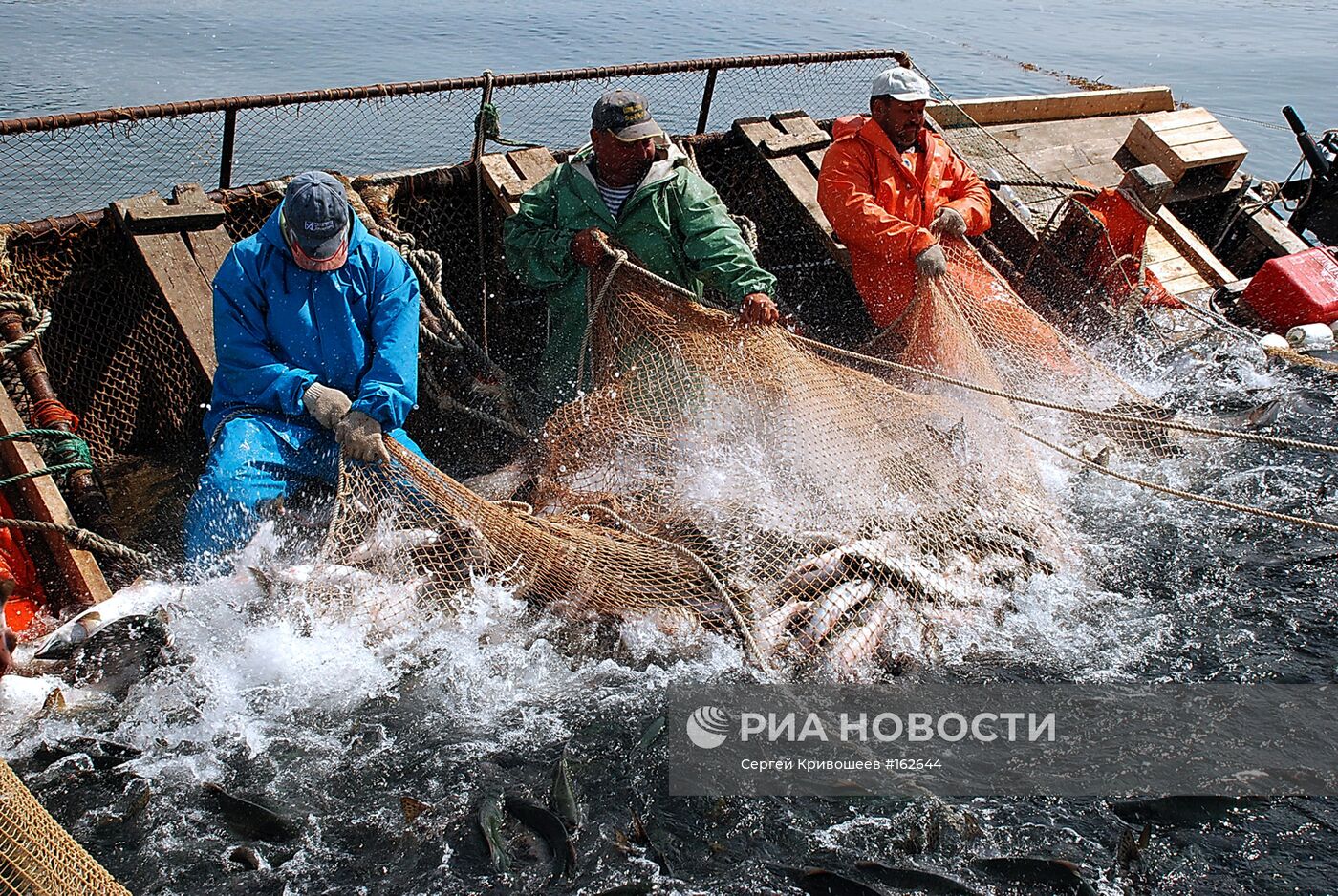 ЛОСОСЕВАЯ ПУТИНА