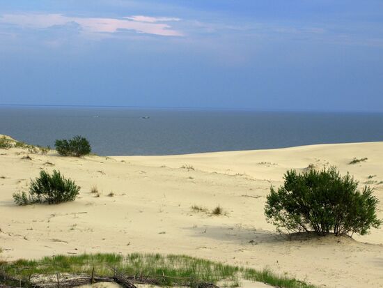 КУРШСКАЯ КОСА