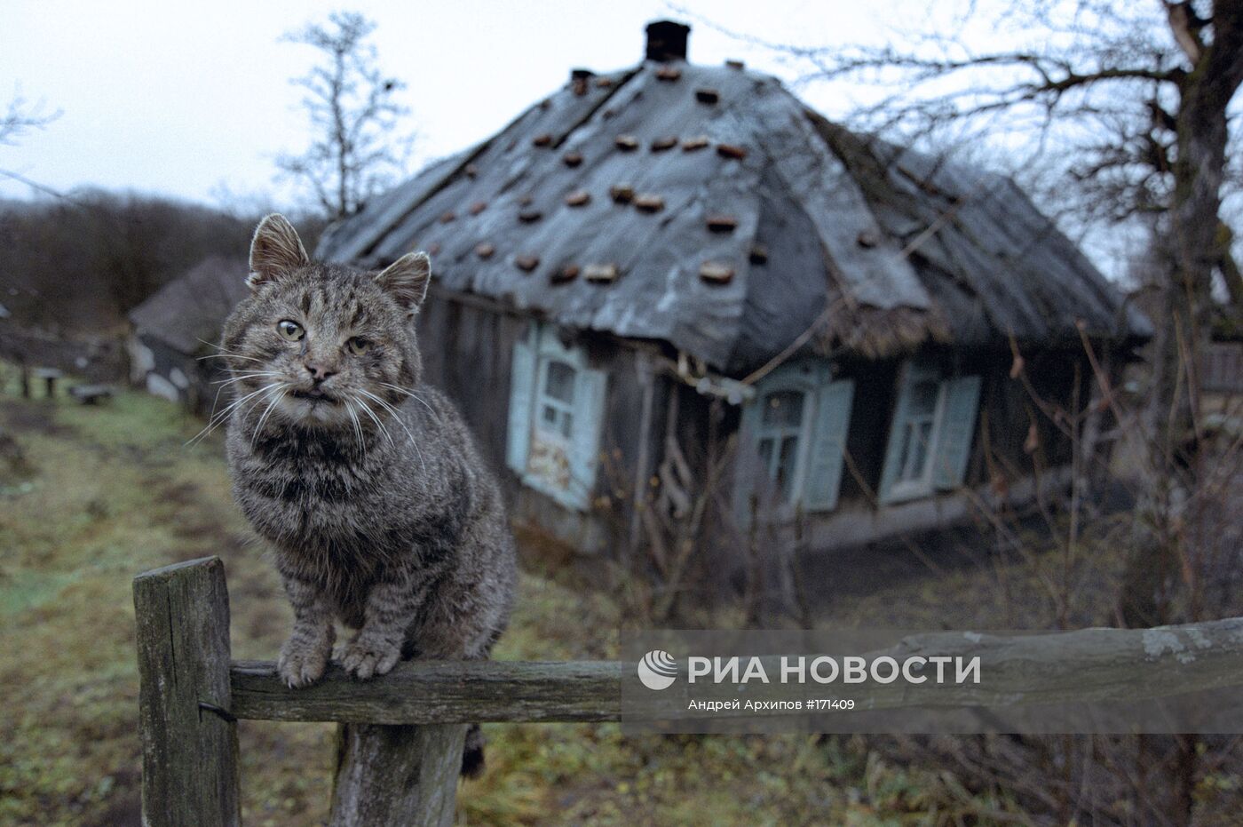 Умирающие деревни | РИА Новости Медиабанк