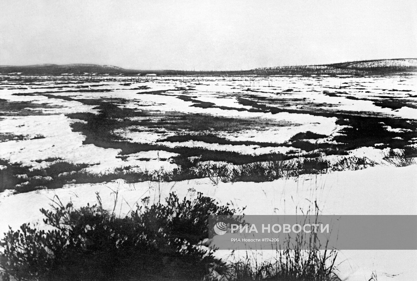 Место падения Тунгусского метеорита