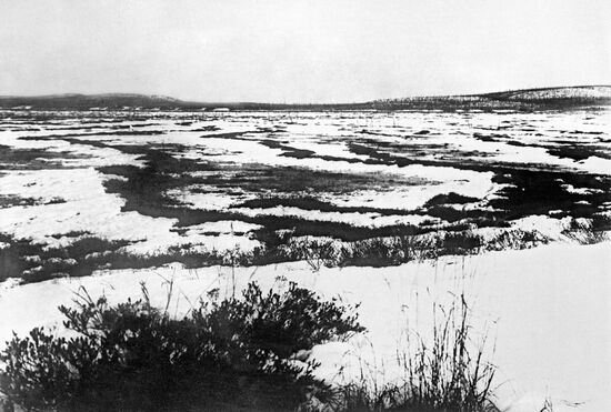 Место падения Тунгусского метеорита