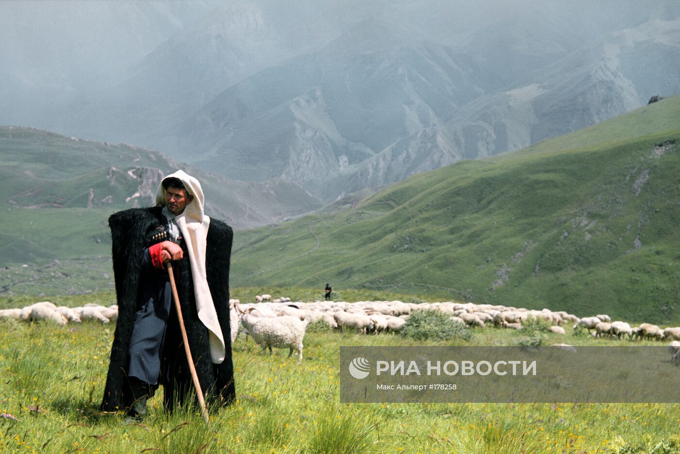 КАБАРДИНО-БАЛКАРИЯ ГОРЫ ПАСТБИЩЕ СТАДО ПАСТУХ