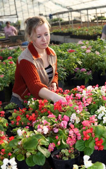 «Совхоз “Цветы Сибири”»