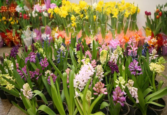 «Совхоз “Цветы Сибири”»