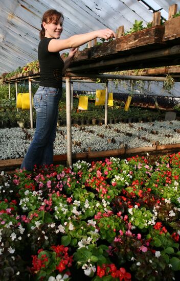 «Совхоз “Цветы Сибири”»