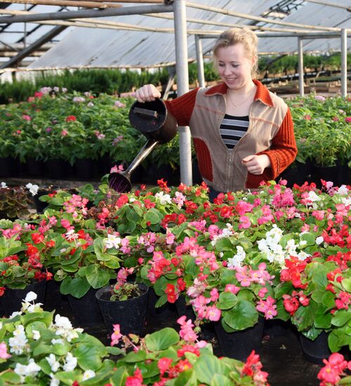 «Совхоз “Цветы Сибири”»