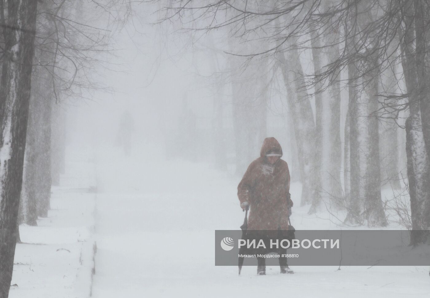Снежная буря в Великом Новгороде