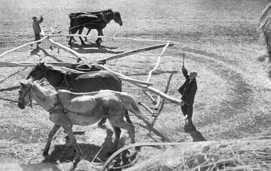 КРЕСТЬЯНЕ ЕДИНОЛИЧНИКИ