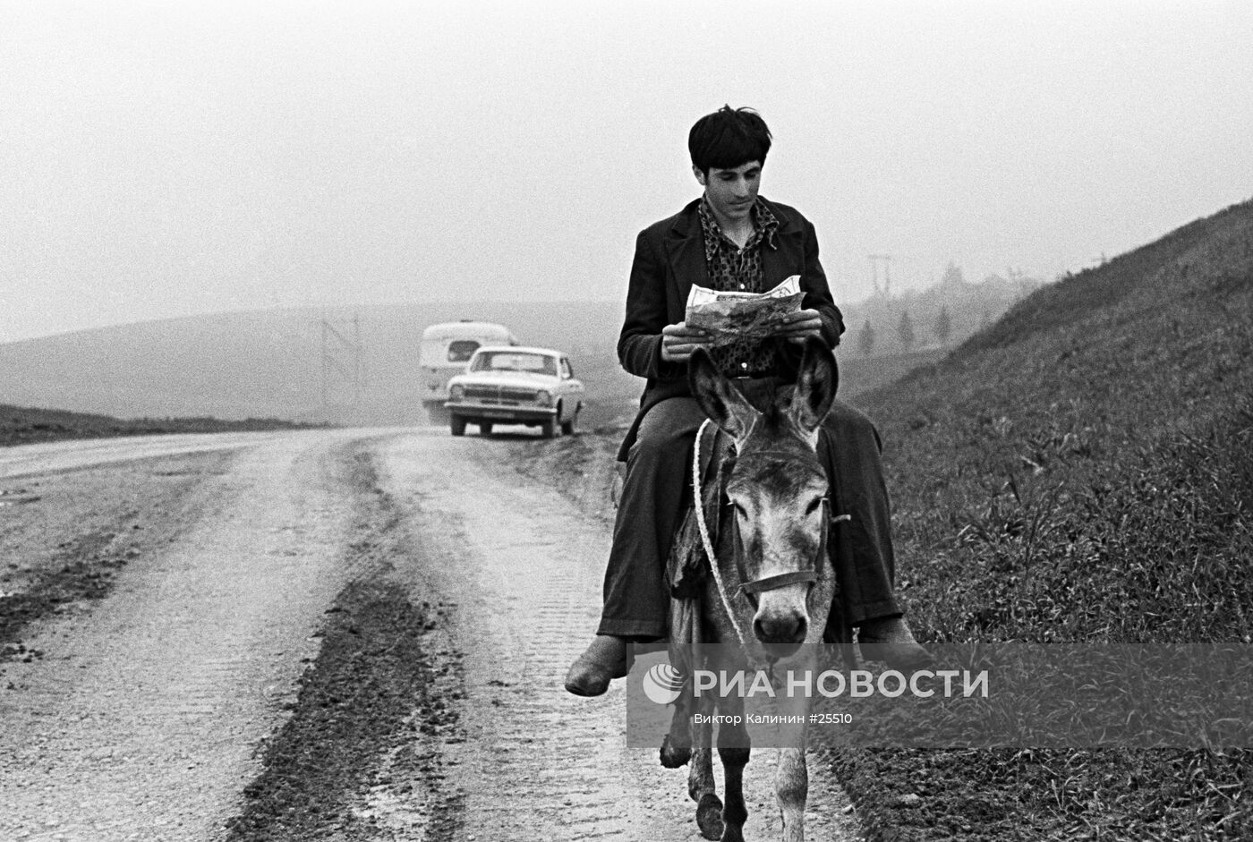 МУЖЧИНА ОСЕЛ КНИГА ЧТЕНИЕ