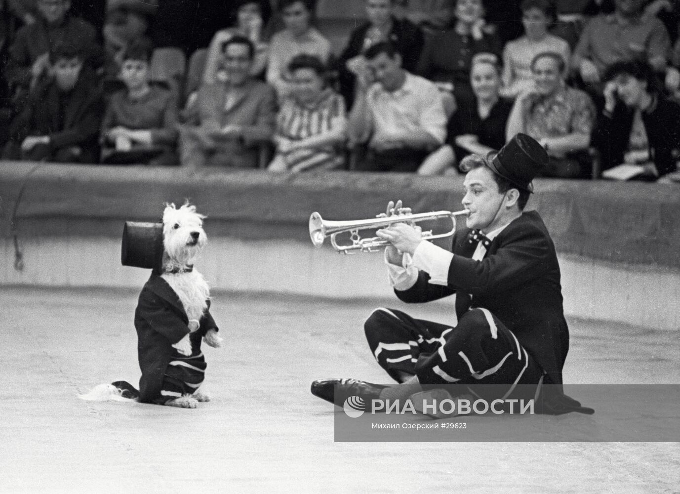 КЛОУН СОБАКА ЦИРК