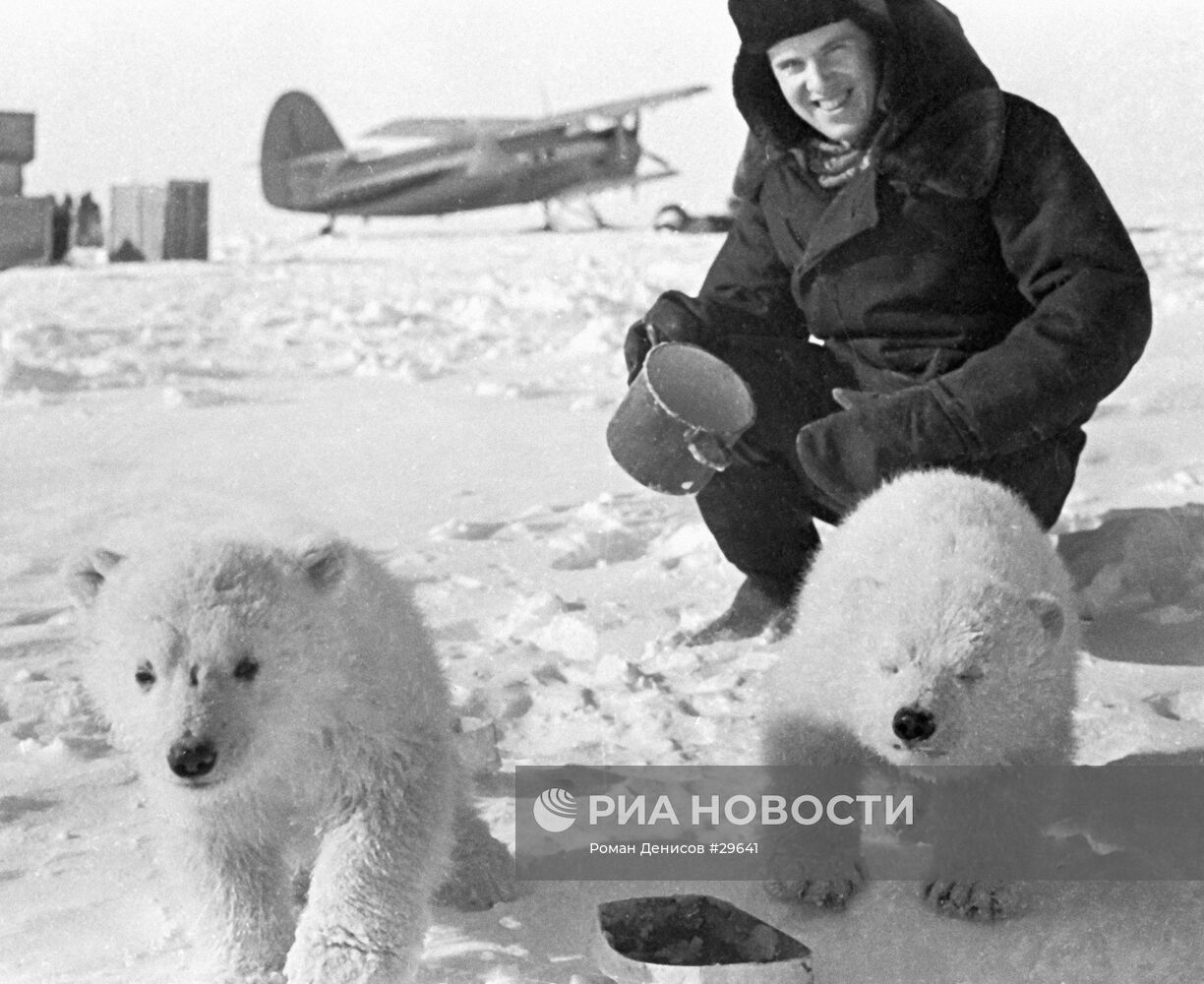 Белые медвежата на станции "Северный полюс-19"
