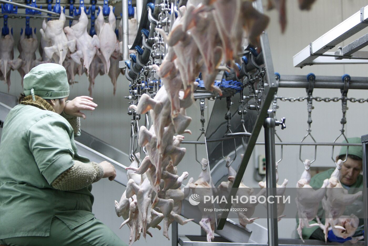 Работа птицефабрики "Рассвет" в Гомельском районе