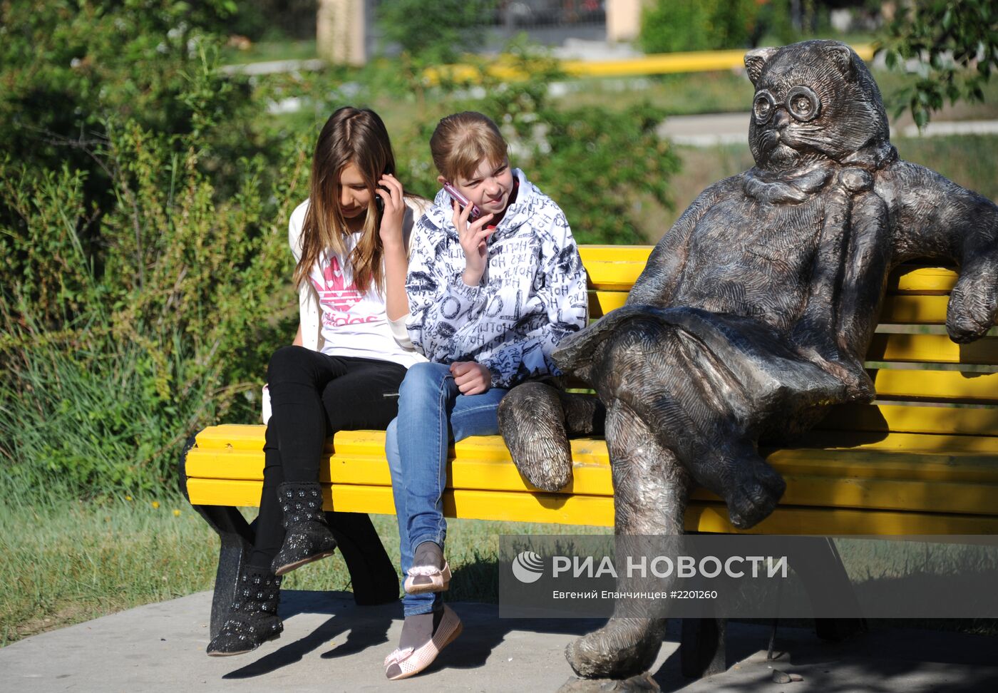 Памятник коту ученому установили в парке ОДОРА в Чите