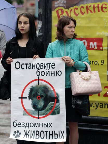 Митинг "Россия без жестокости" в Санкт-Петербурге