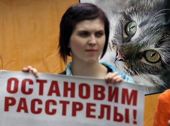 Митинг "Россия без жестокости" в Санкт-Петербурге