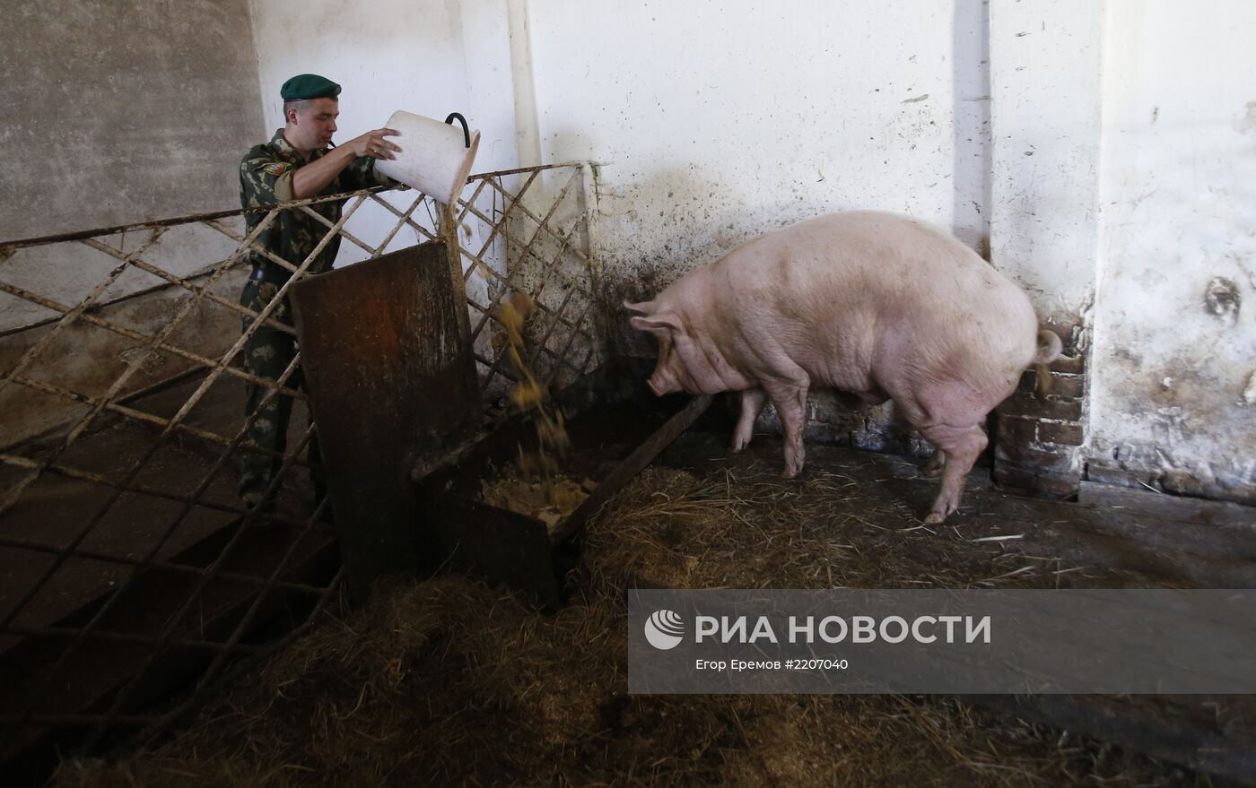 Служба на пограничной заставе "Брест" в Белоруссии