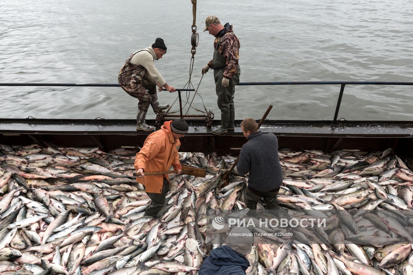 Производство рыболовецкого колхоза на Камчатке