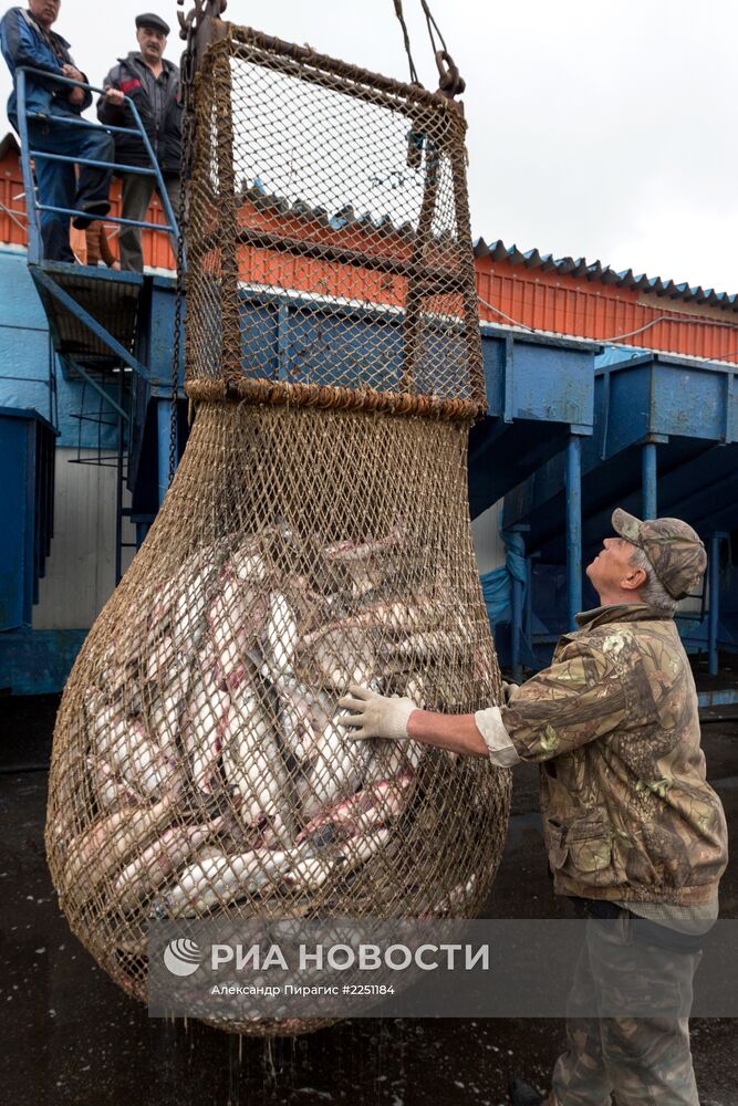 Производство рыболовецкого колхоза на Камчатке