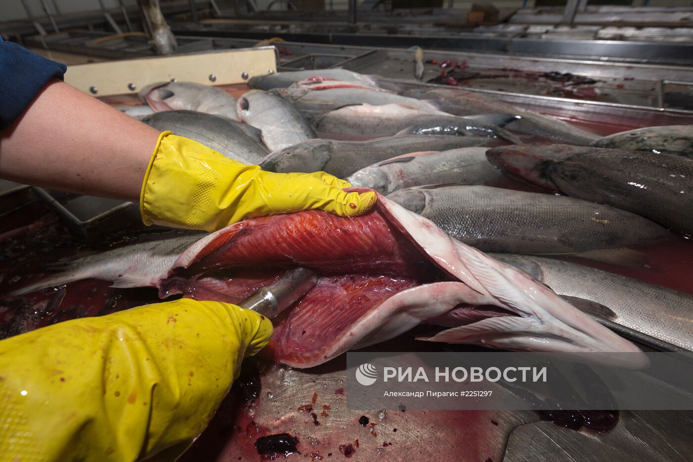 Производство рыболовецкого колхоза на Камчатке