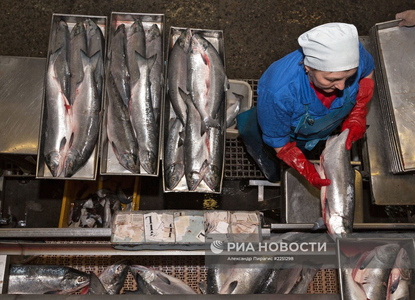 Производство рыболовецкого колхоза на Камчатке